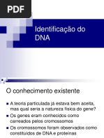 1Identificacao Do DNA DnaIdent