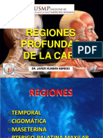 Cara Regiones Profundas 04 09 17 PDF