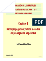 6. MICROPROPAGACION