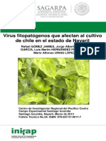 178 - Virus en Chile - 2013