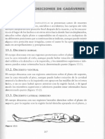 Posición de Cadáveres PDF