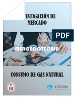 Investigación de Mercado Del Consumo de Gas Natural Cálida