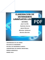 Proyecto Determer PDF