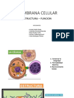 Biolo Menbrana Celular