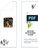 Ghid Bune Practici - Taurine PDF