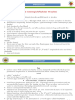 General Morphological of Culicidae-Mosquitoes: Parasitolgoy