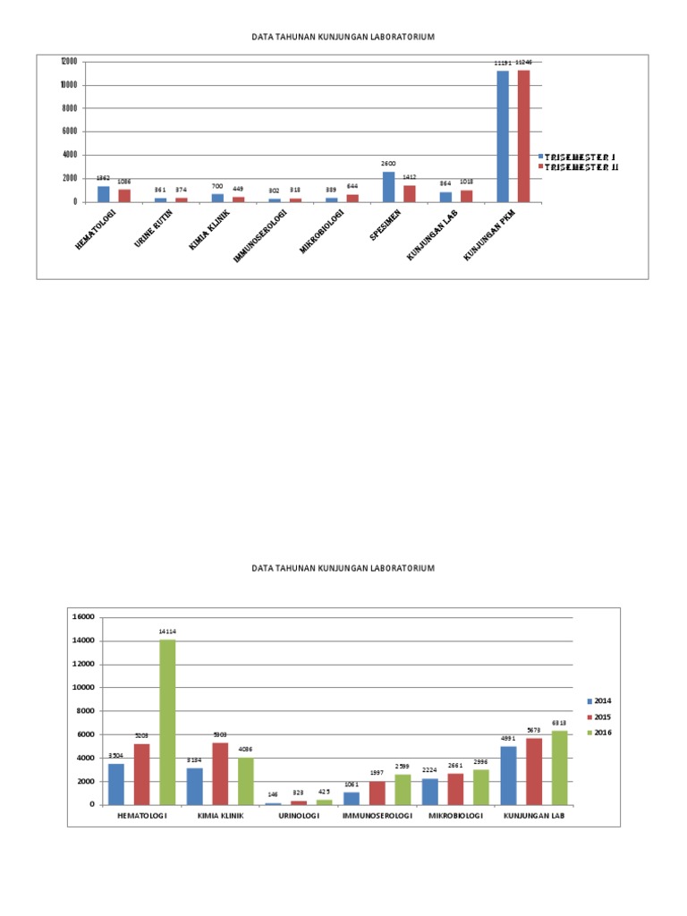 Statistik Kunjungan Laboratorium | PDF