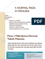 Flora Normal Pada Tubuh Manusia