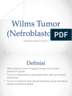 Wilms Tumor (Nefroblastoma)