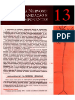 Capitulo-13.pdf
