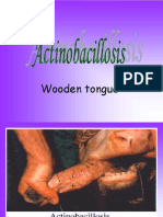 Actinobacillosis.pps