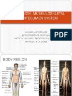 Body Region, Muskuloskletal and Integumen System