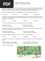 Prueba de Ciencas Naturales 5° Básico