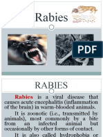 Rabies