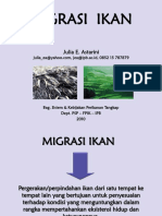 Migrasi Ikan