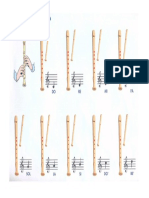 Posicions de La Flauta