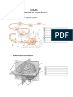 0102 Esquemas Unidad 2 Anatomía Del Sistema Nervioso