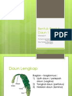 Bentuk-Bentuk Daun 1