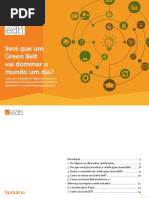 Green Belt.pdf