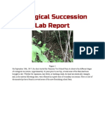 Ecological Succession Lab Report