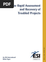 Rapid Assessment and Recovery of Troubled Projects
