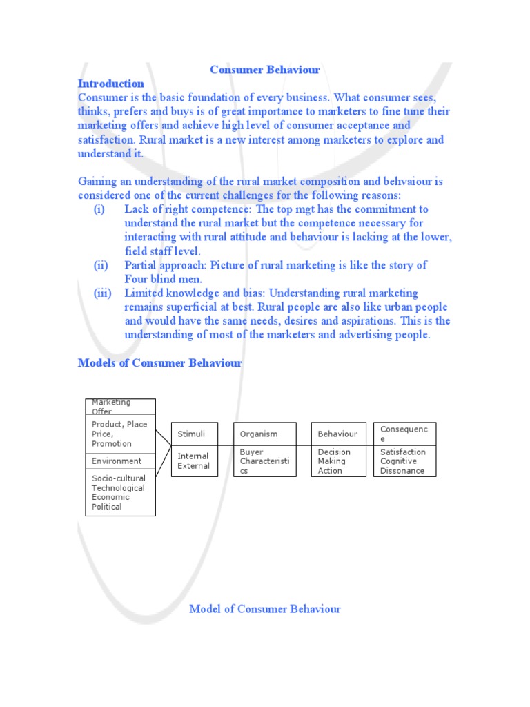Consumer Behaviour | PDF
