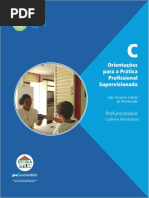Orientacao Pratica Profissional Supervisionada