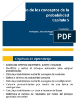 Capítulo 5 PDF