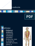 Sistemul Endocrin Final Olimpiada