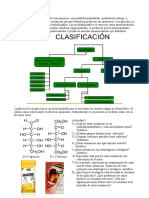 Ficha Glúcidos - Odt