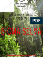 Selva PDF