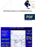 Plano criminalistica