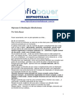 Hipnose Meditacão Mindfulness PDF