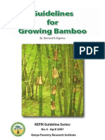31888543 Giudelines for Growing Bamboo