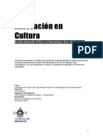 Innovacion en Cultura PDF