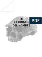 04capi03 PDF
