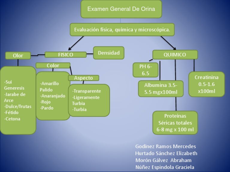 Mapa Conceptual EGO | PDF