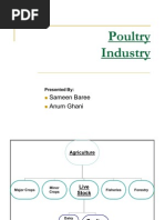 Download Poultry Industry by Wali Raza SN36009702 doc pdf