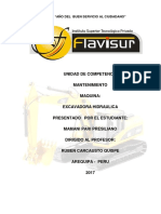 Informe de Flavisur