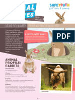 Animal Bites  Newsletter #10 