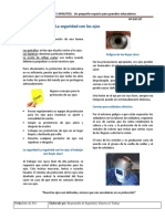 Info 030 SSO Protección de Los Ojos PDF