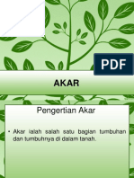 AKAR