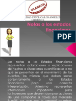 Notasalosestadosfinancieros 150609022020 Lva1 App6891