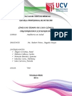Auditoria en Salud PDF