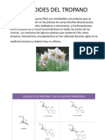 Alcaloides del tropano: compuestos nitrogenados bicíclicos en plantas