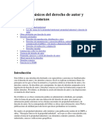 Principios básicos del derecho de autor y los derechos conexos.docx word.docx