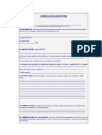 Formato Acta Constitutiva PDF
