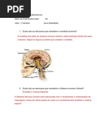 Estudo Dirigido Do Sistema Nervoso Central