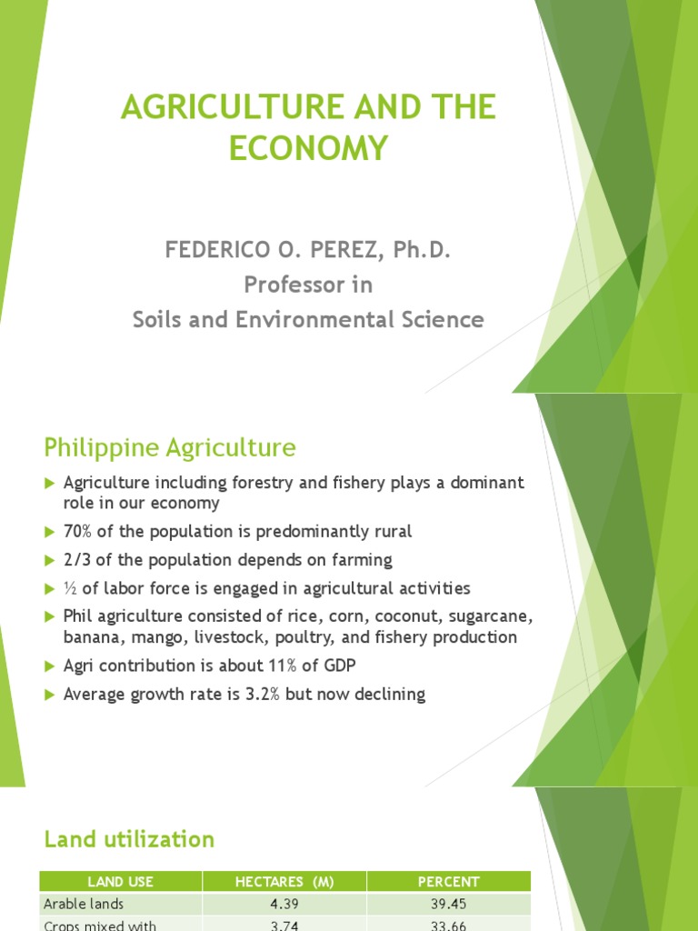Agriculture and The Economy PDF Food Security Agriculture