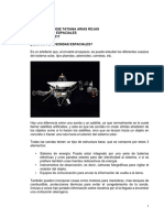Exposiciones Informatica PDF